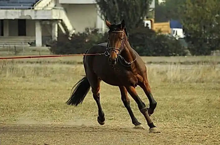 Аркада официальный сайт 7382d1