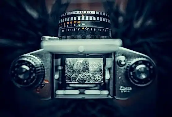 Arkada казино 0fb9a6